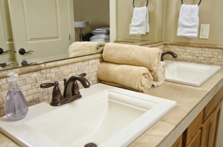 Bathroom Design and Organizational Ideas